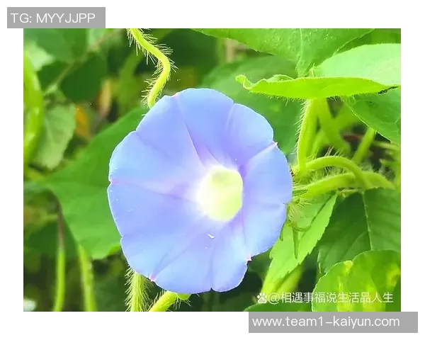 迪拉娜分享生活点滴感叹时光流转与心愿渐成现实