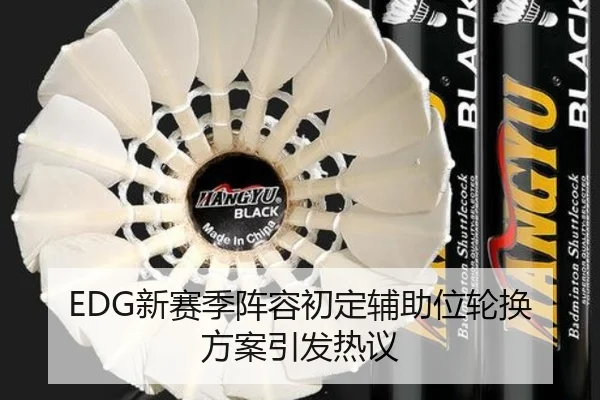 EDG新赛季阵容初定辅助位轮换方案引发热议 | KAIYUNSPORTS